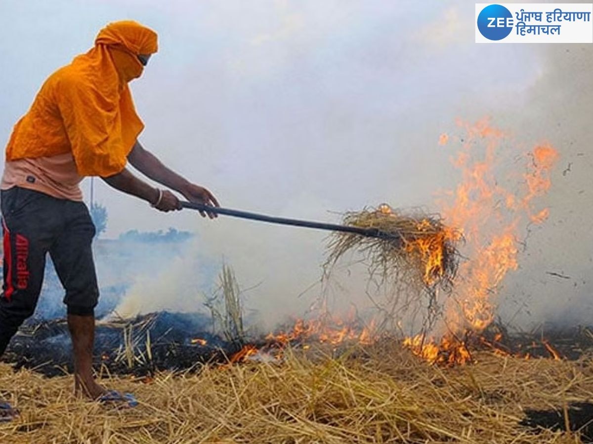 Stubble Burning Reason: ਪਰਾਲੀ ਨੂੰ ਅੱਗ ਲਗਾਉਣ ਦੇ ਮੁੱਖ ਕਾਰਨ; ਕੀ ਸਿਰਫ਼ ਪਰਾਲੀ ਦਾ ਧੂੰਆਂ ਹੀ ਪ੍ਰਦੂਸ਼ਣ ਲਈ ਜ਼ਿੰਮੇਵਾਰ?