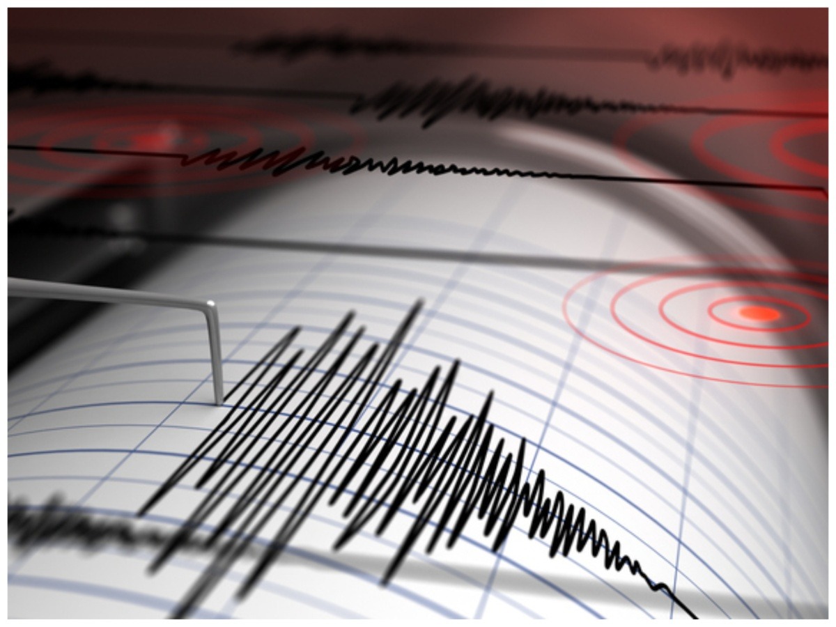 EARTHQUAKES: दिल्ली में बार-बार क्यों आ रहे हैं भूंकप; नेपाल से क्या है इसका कनेक्शन ? EARTHQUAKES: दिल्ली में बार-बार क्यों आ रहे हैं भूंकप; नेपाल से क्या है इसका कनेक्शन ?