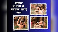 इस 'नागिन' ने पानी में उतरकर लगाई आग, फोटोज देख दिल की धड़कनों को थाम नहीं पाएंगे आप