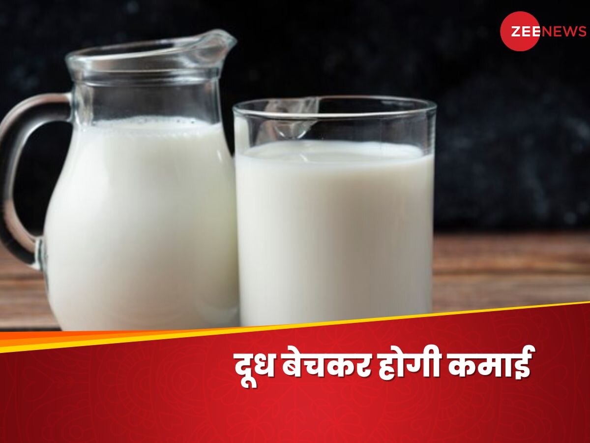 Business: दूध बेचकर इन महिलाओं ने कमाए लाखों रुपये, 1.5 साल में बनीं लखपति