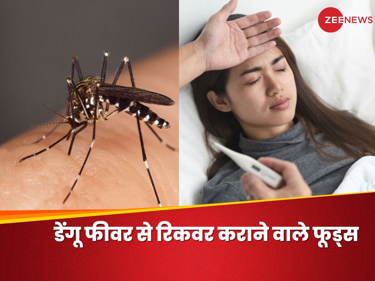 Dengue Fever: डेंगू फीवर से रिकवर करते वक्त जरूर खाएं ये 3 चीजें, बढ़ जाएगा Blood Platelets