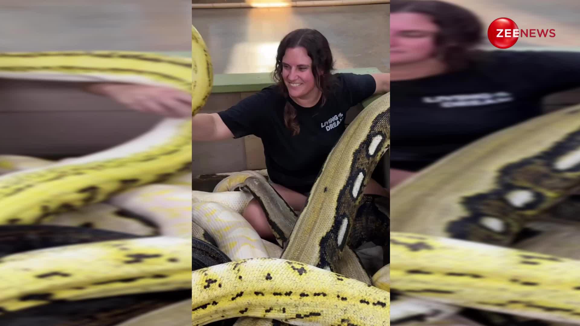 frightening video woman sleeps with colorful pythons at night | पति ...