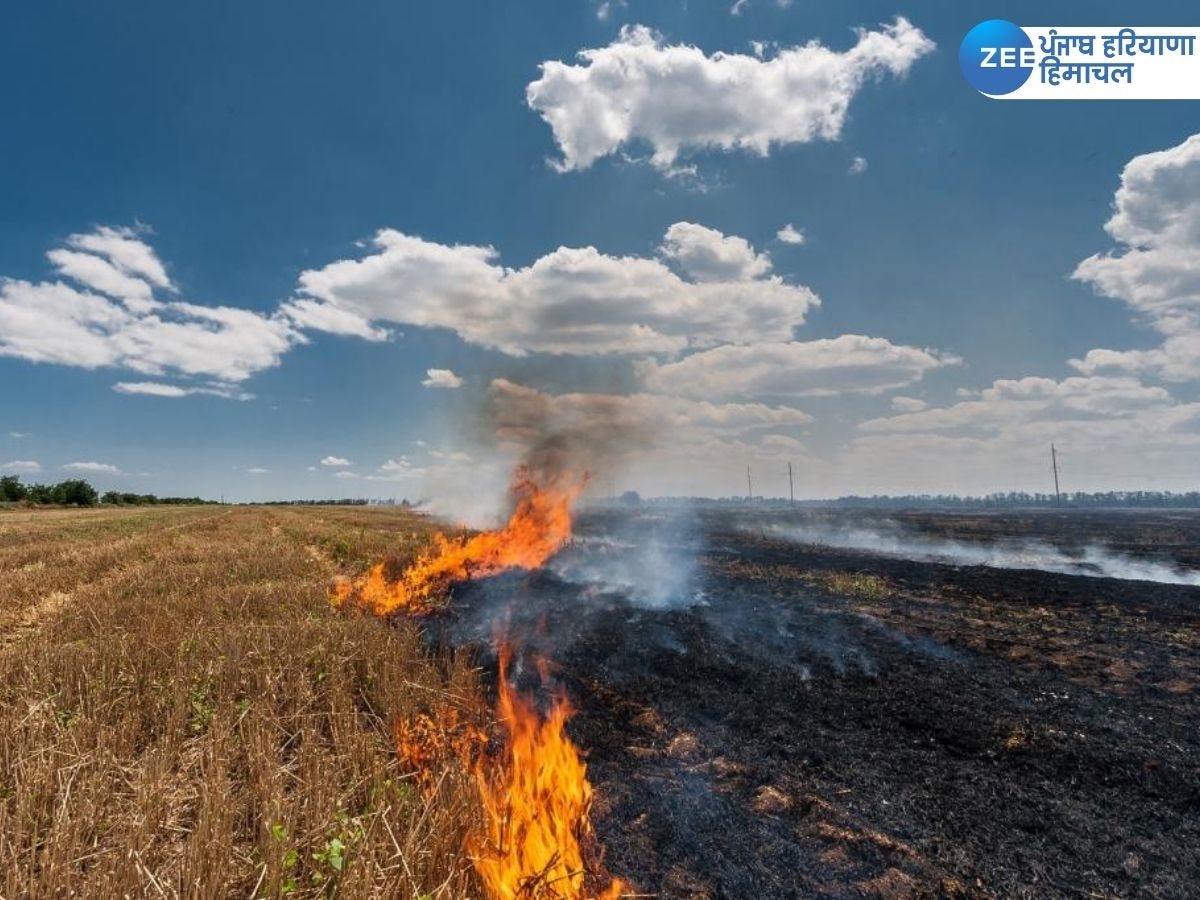 Punjab Stubble Burning: ਪੰਜਾਬ 'ਚ ਪਰਾਲੀ ਸਾੜਨ ਦਾ ਸਿਲਸਿਲਾ ਰੁਕਿਆ ਨਹੀਂ, 2060 ਨਵੇਂ ਮਾਮਲੇ ਆਏ ਸਾਹਮਣੇ