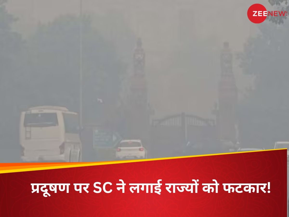 Delhi NCR Pollution: लोगों को यूं मरते नहीं छोड़ सकते... दिल्ली-NCR के गैस चैंबर बनने पर SC ने राज्य सरकारों की लगाई ऐसी क्लास! 