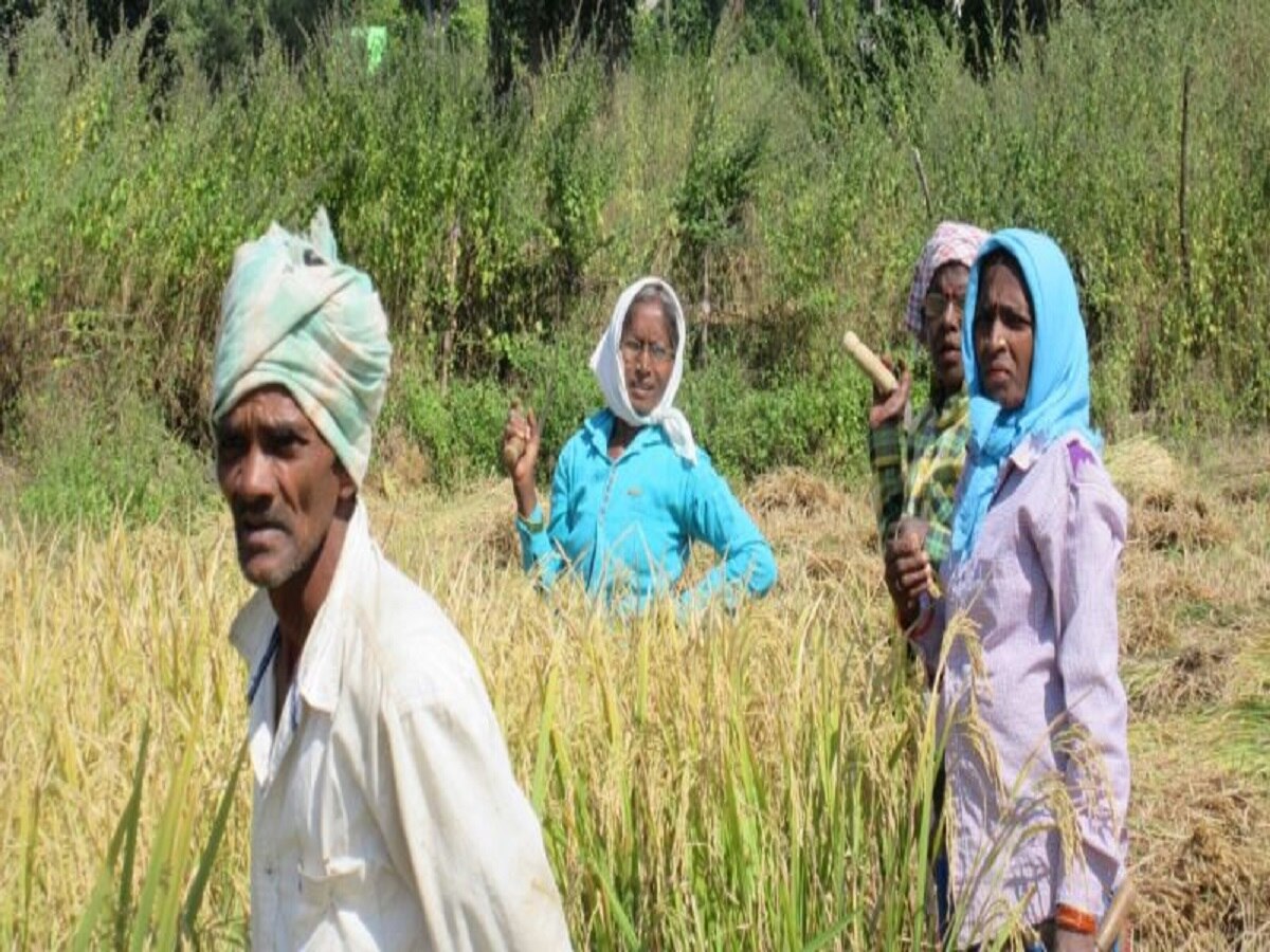 किसानों का दिवाली बोनस बस कुछ दिन दूर, इस दिन आएगी 15वीं किस्त! लाभार्थी फटाफट चेक करें सूची में अपना नाम