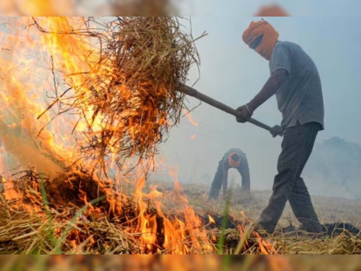 Punjab Parali News: पंजाब में एक दिन में सबसे ज्यादा पराली जलाने के मामले आए सामने
