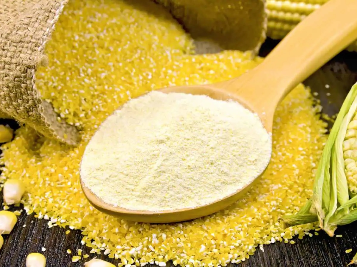 corn flour health benefit in winter makke ke fayde makka dishes Makke