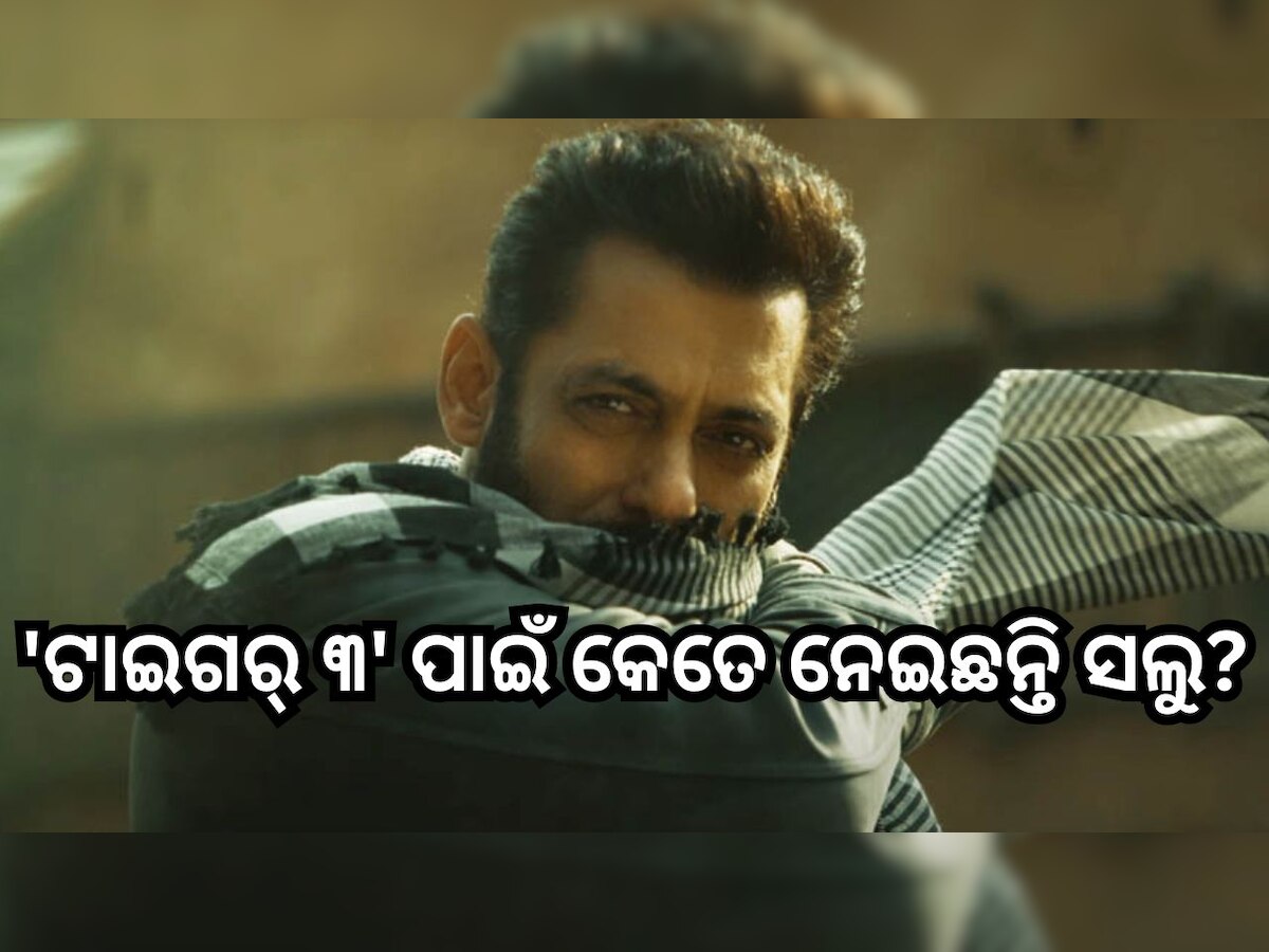 Tiger 3 Cast Fees: ଫି'ରେ କିଙ୍ଗ୍ ଖାନଙ୍କକୁ ପଛରେ ପକାଇବେ ସଲମାନ୍! 'ଟାଇଗର୍ ୩' ପାଇଁ  ନେଇଛନ୍ତି ଏତିକି କୋଟି 