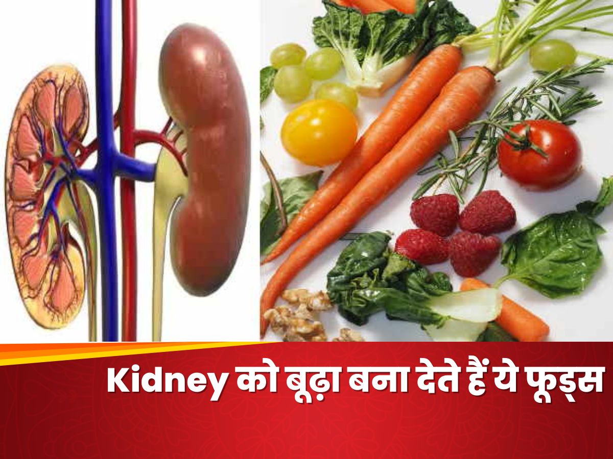 foods that harm kidneys avocado fried foods Kidney को बूढ़ा कर देती