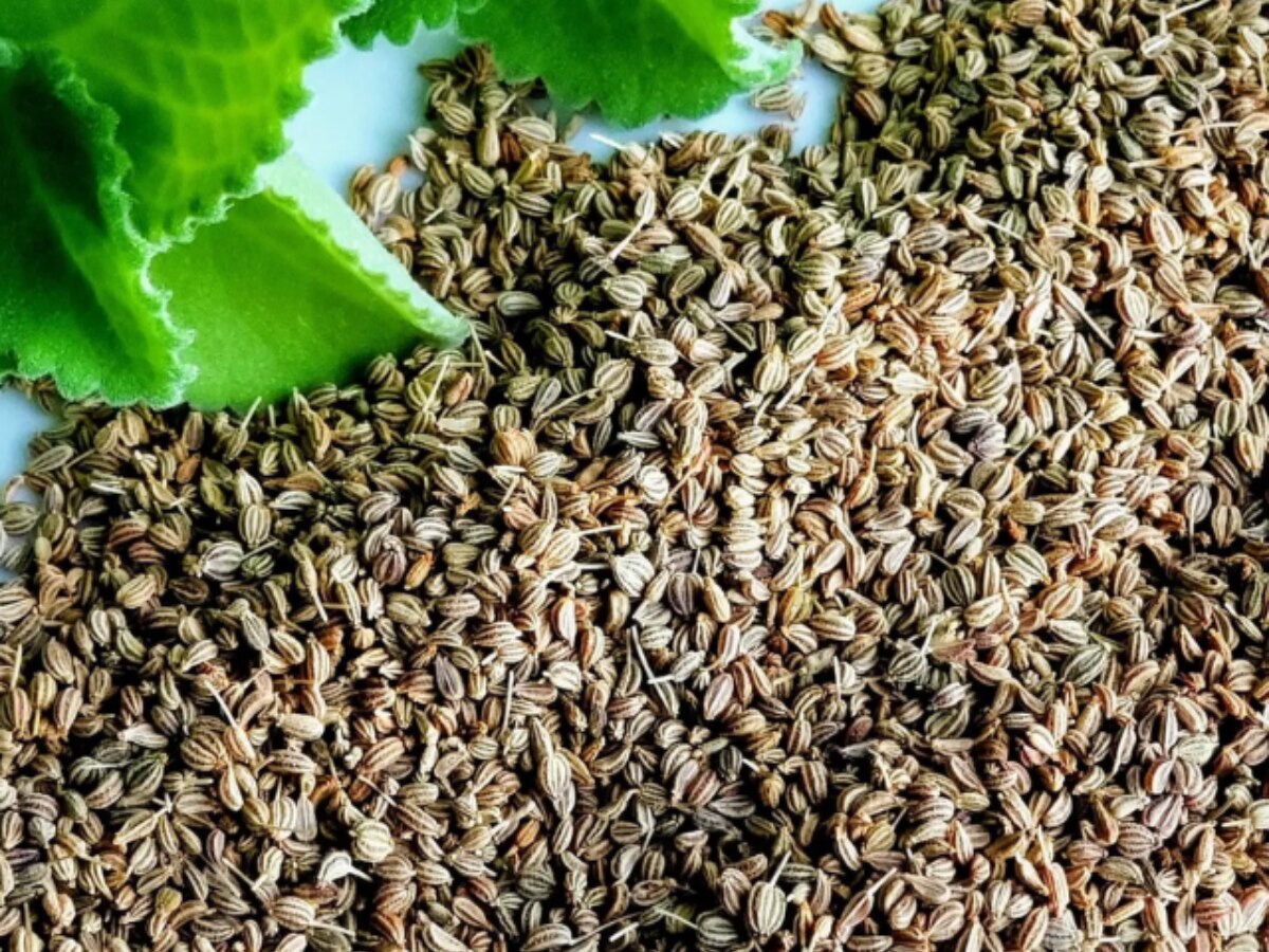 carom seeds health benefits for ajwain ke faayde in hindi Ajwain