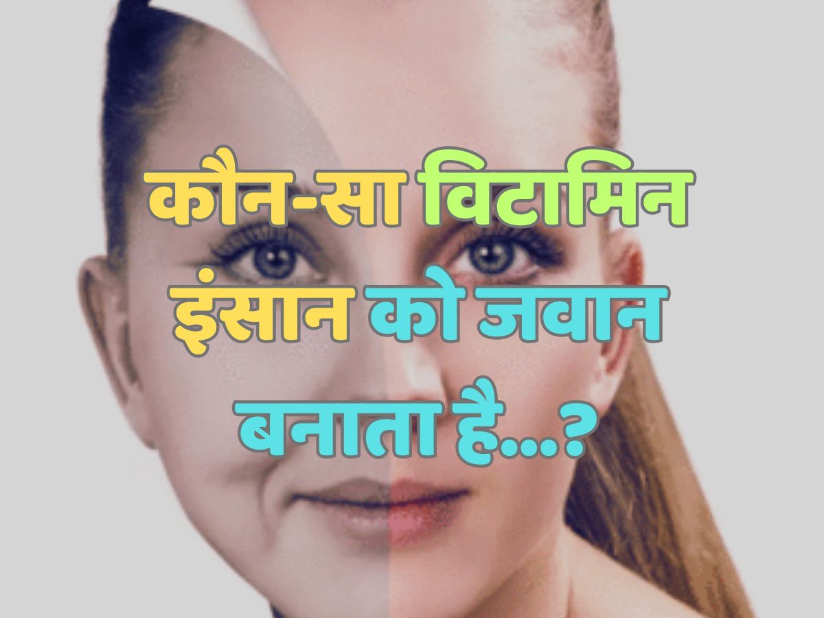 Trending Quiz : कौन-सा विटामिन इंसान को जवान बनाता है? Trending Quiz : कौन-सा विटामिन इंसान को जवान बनाता है?