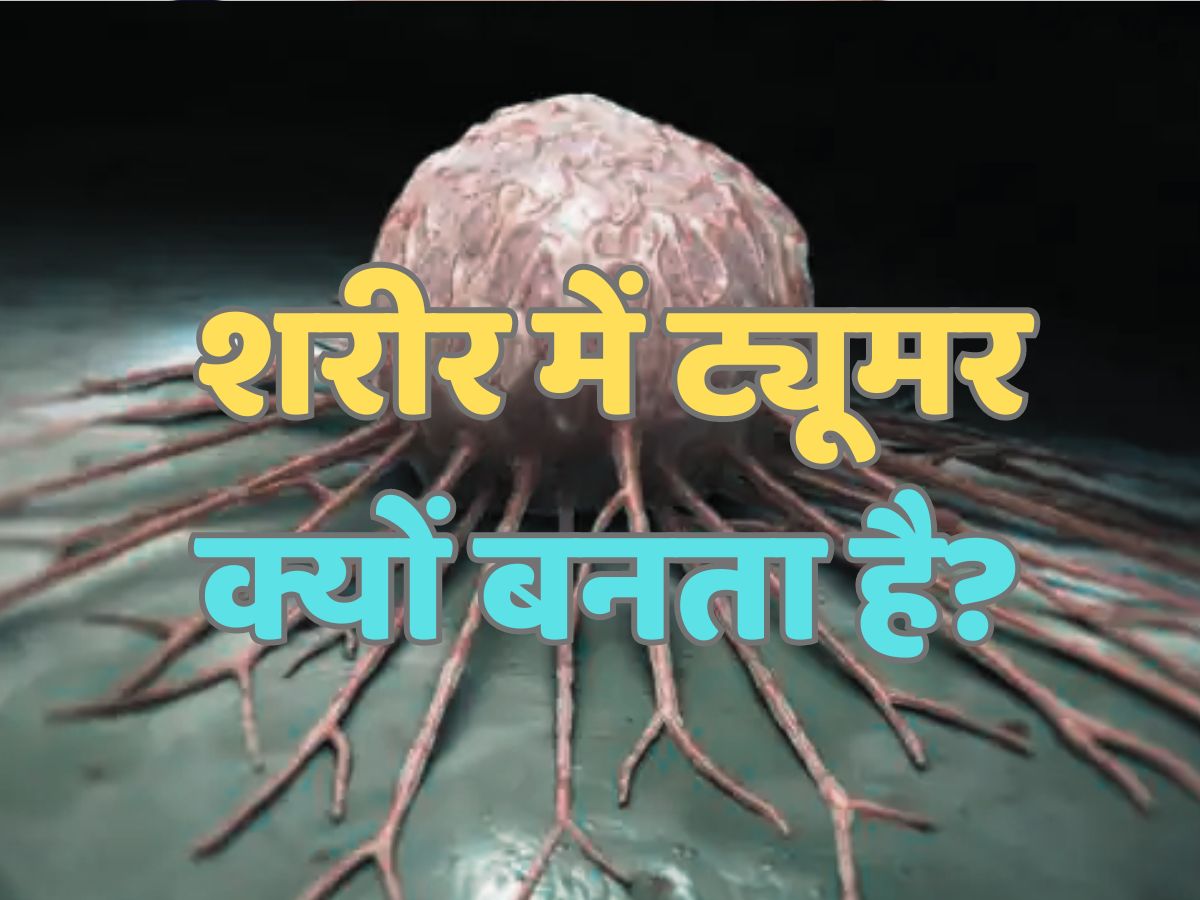 Trending quiz general knowledge quiz