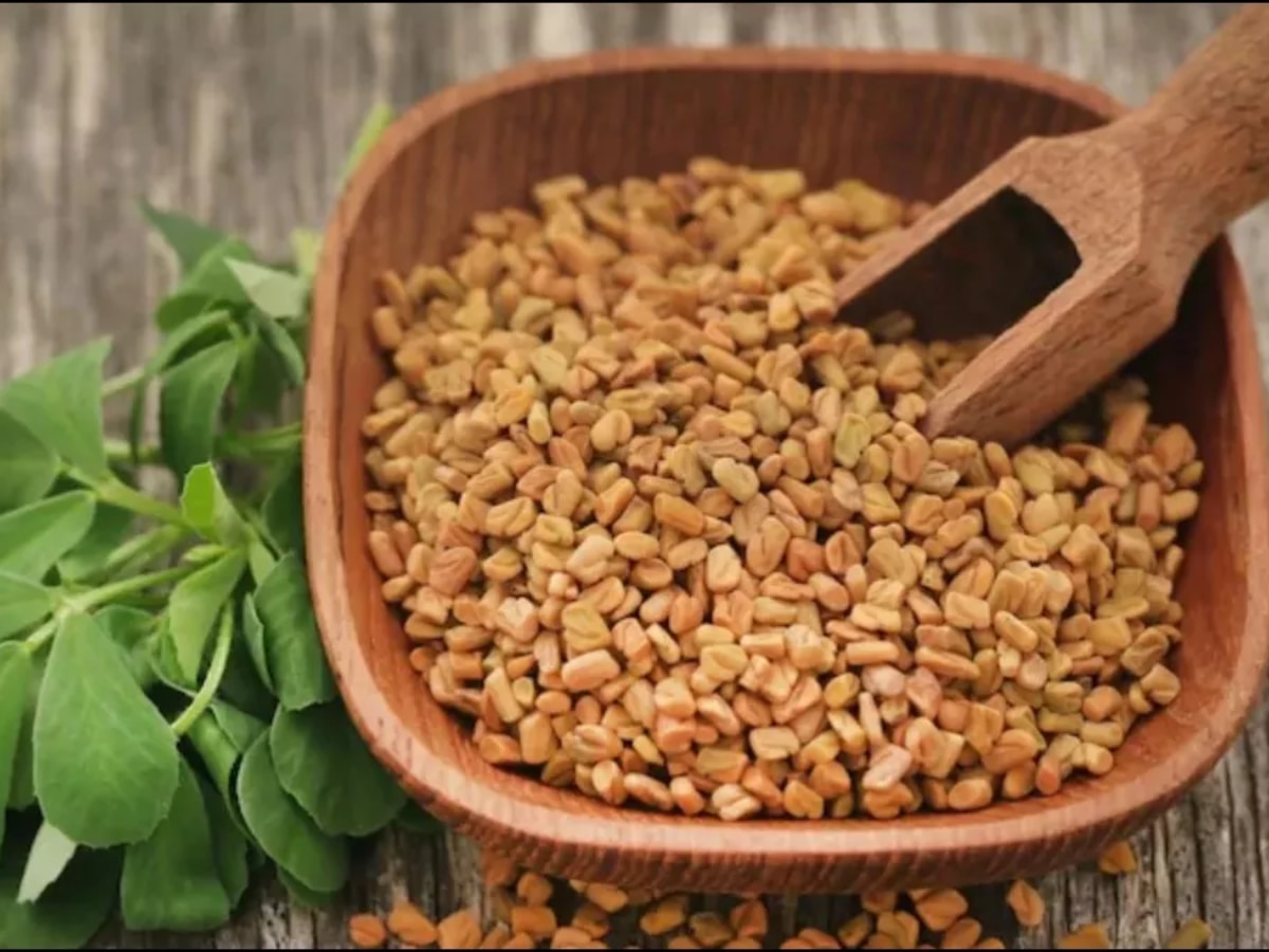 benefits of fenugreek methi seeds in health methi daane ke fayde Methi