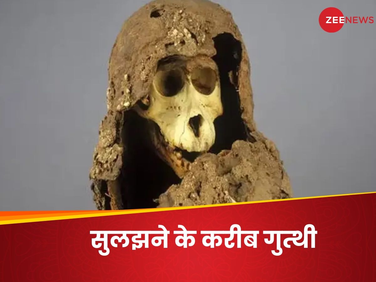 Mummiffied Baboons: 100 साल पुरानी गुत्थी सुलझने के करीब, दुनिया के इस देश से है नाता