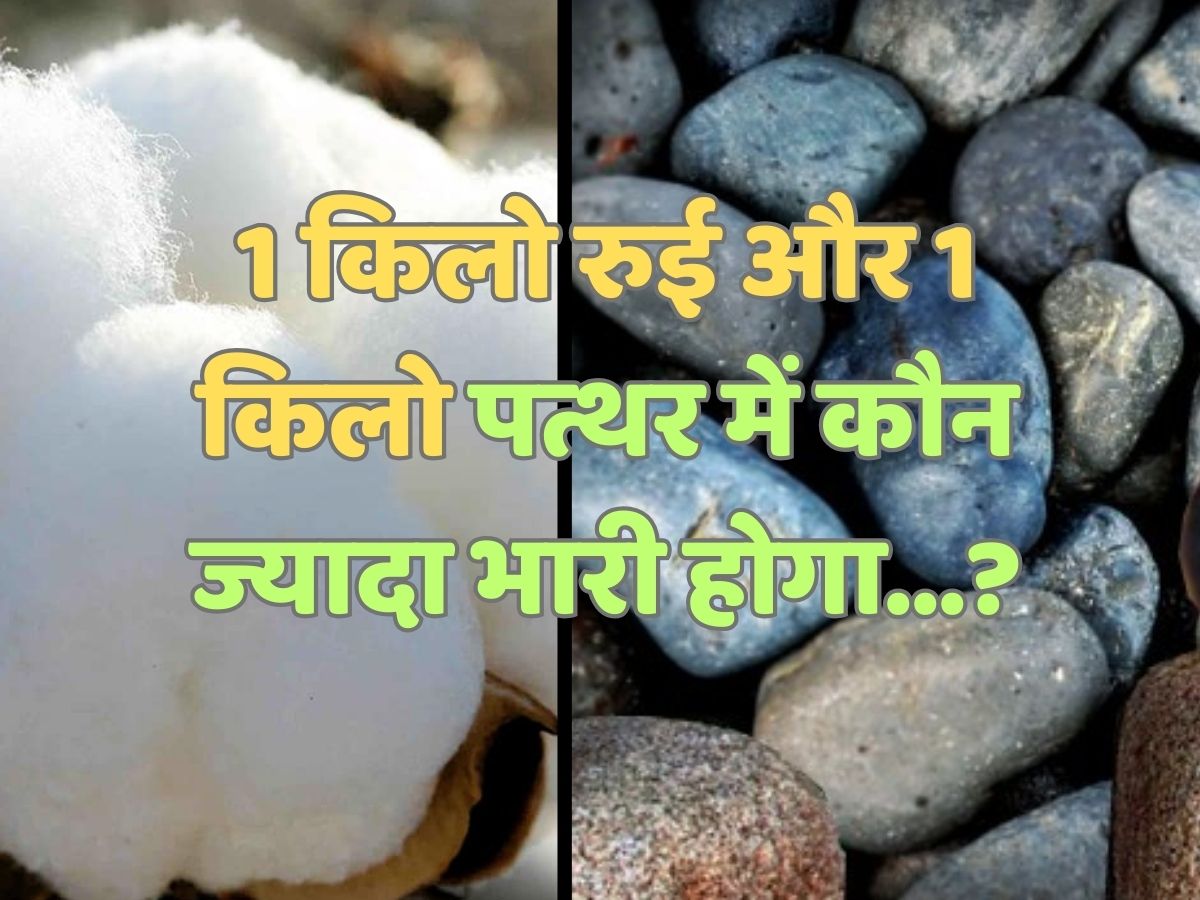Trending Quiz : एक किलो रुई और एक किलो पत्थर में कौन ज्यादा भारी होगा?
