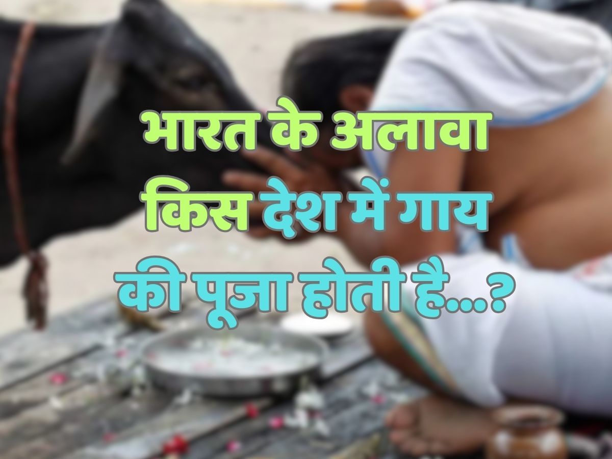 Trending Quiz : भारत के अलावा किस देश में गाय की पूजा होती है?