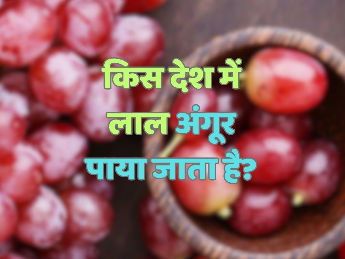 Trending Quiz : दुनिया के किस देश में लाल अंगूर पाया जाता है?