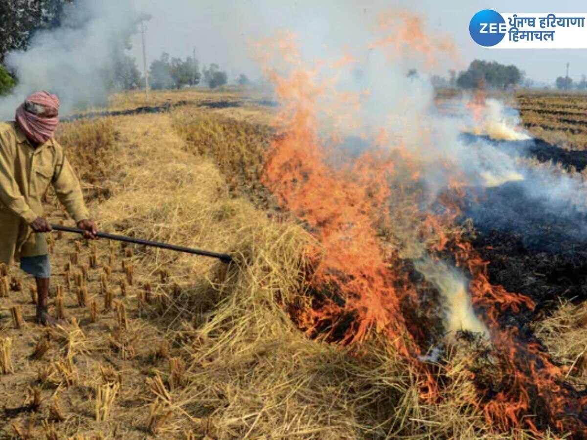 Punjab Stubble Burning: ਪੰਜਾਬ 'ਚ ਸਿਰਫ਼ 6 ਥਾਵਾਂ 'ਤੇ ਸਾੜੀ ਗਈ ਪਰਾਲੀ, ਤਿੰਨ ਸ਼ਹਿਰਾਂ 'ਚ ਹਵਾ ਖਰਾਬ