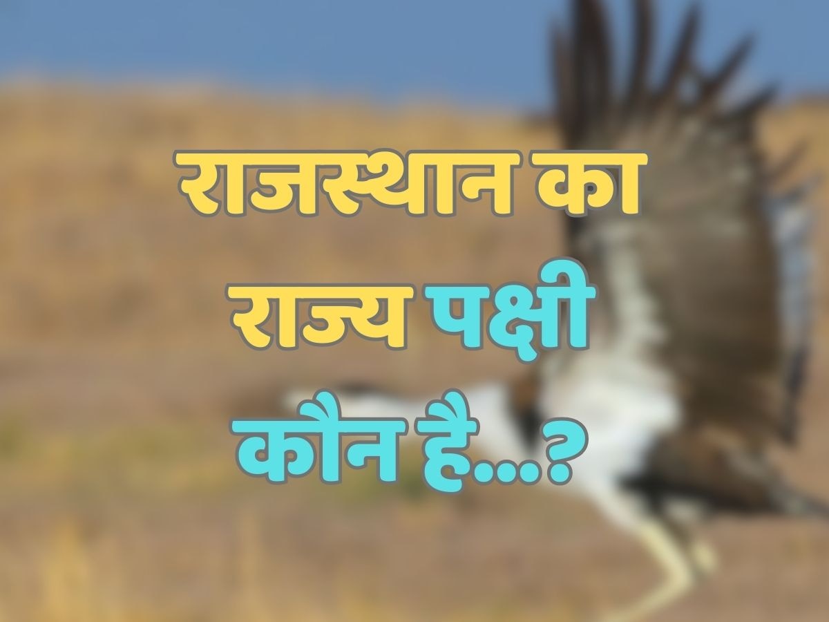 Trending Quiz : राजस्थान का राज्य पक्षी कौन है?