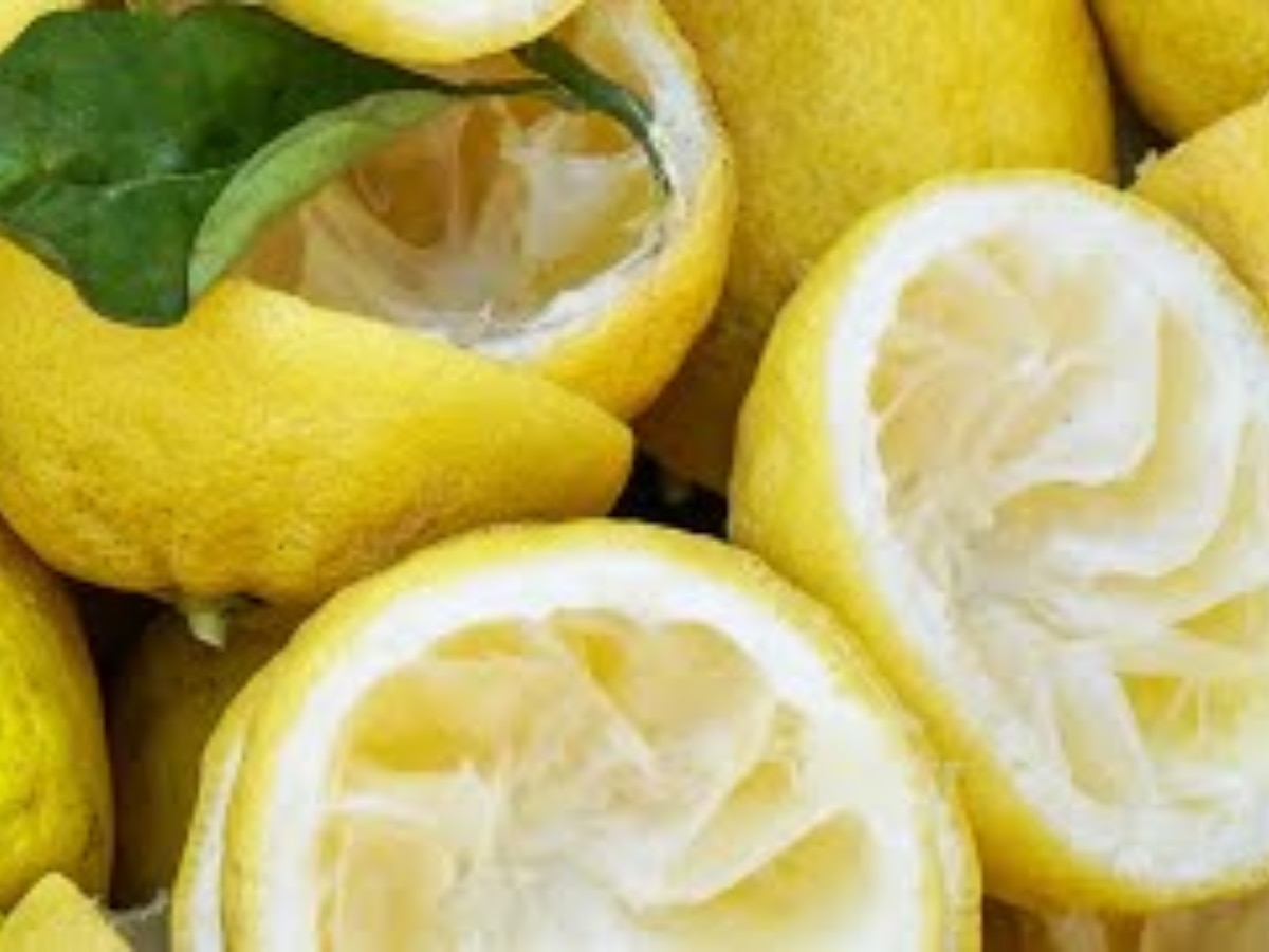 Lemon Peel Benefits: कचरे में फेंकने वाले नींबू के छिलके को इस तरह करें इस्तेमाल, फायदे जानकर रह जाएंगे हैरान 