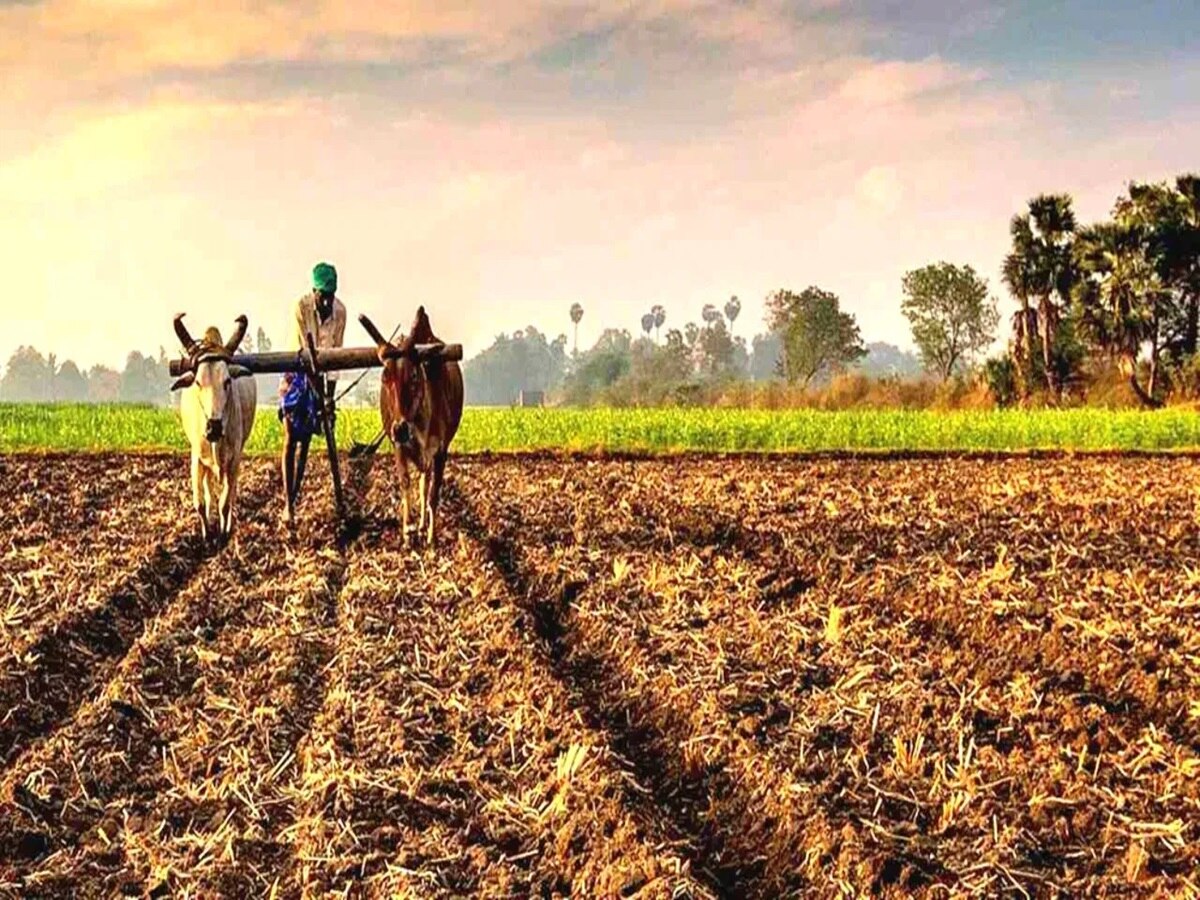 किसानों की हो गई बल्ले-बल्ले, छठ से पहले सरकार का ऐलान, मिलेगा फ्री बिजली कनेक्शन