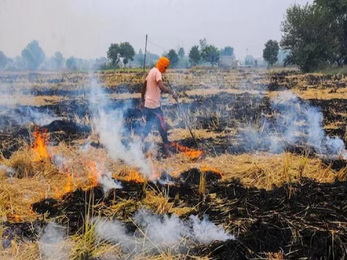 Bihar News: किसानों के लिए नीतीश सरकार का बड़ा फैसला, ब्लॉक कार्यालय में लगाए जाएंगे पराली जलाने वालों के नाम 