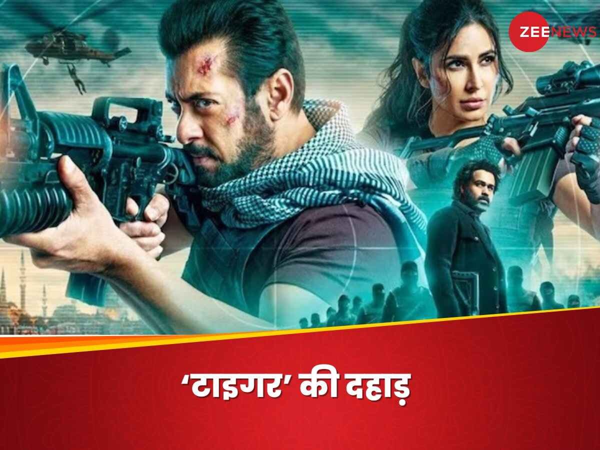 सलमान खान टाइगर 3