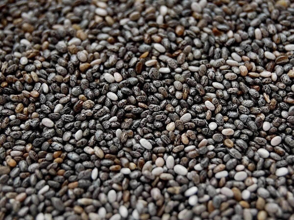top benefits of different types of seeds in hindi sunflower chia seed