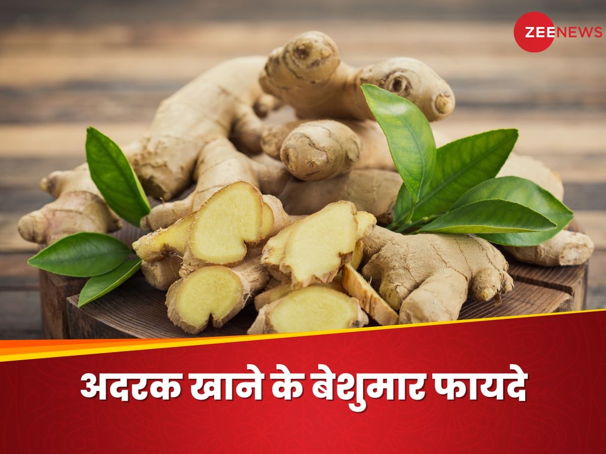 Ginger: हमें रोजाना अदरक क्यों खाना चाहिए? इन 5 फायदों को तुरंत कर लें नोट