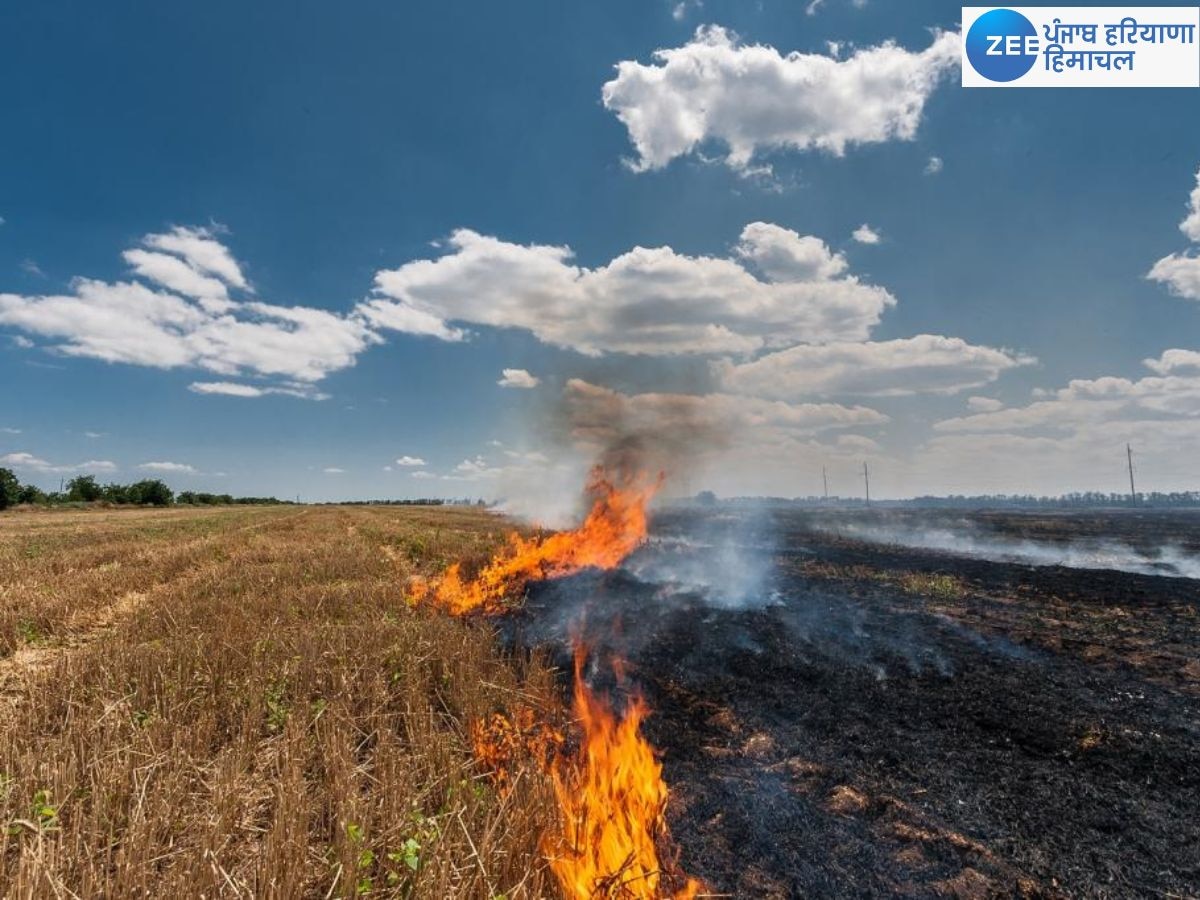 Punjab Stubble Burning: ਪਰਾਲੀ ਦੇ ਨਿਪਟਾਰੇ ਲਈ ਸਬਸਿਡੀ 'ਤੇ ਦਿੱਤੀ ਜਾਣ ਵਾਲੀ ਮਸ਼ੀਨਰੀ ਦੇ ਨਿਰੀਖਣ ਲਈ ਪੁੱਜੀ ਕੇਂਦਰੀ ਟੀਮ