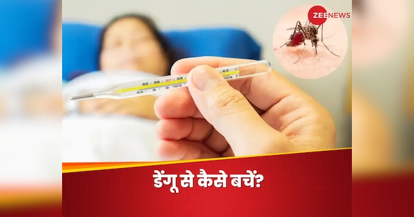 How To Keep Yourself Safe From Dengue Fever Mosquito With Easy Preventive Measures Dengue Fever 