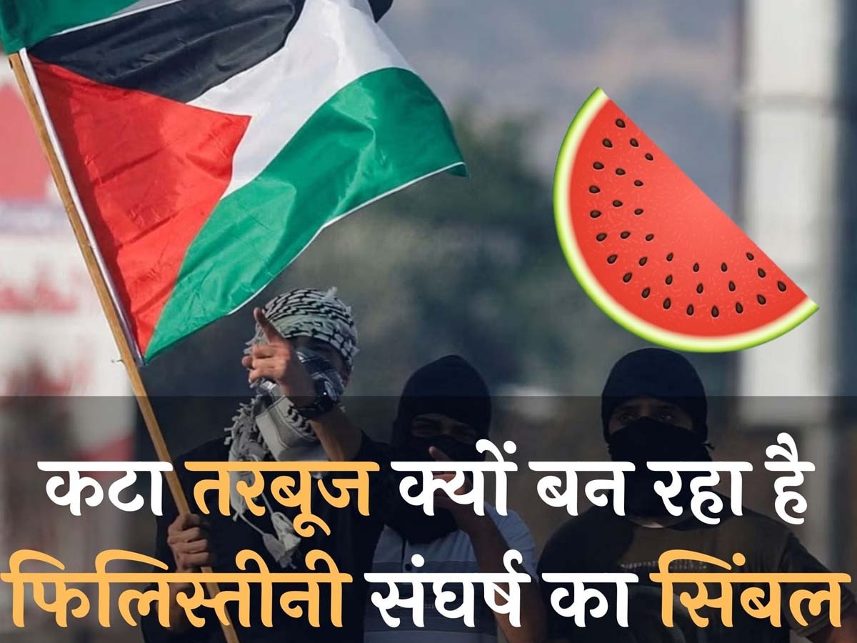 Palestine News: राष्ट्रीय झंडे की जगह कटा तरबूज क्यों बन रहा है फिलिस्तीनी संघर्ष का सिंबल ? 