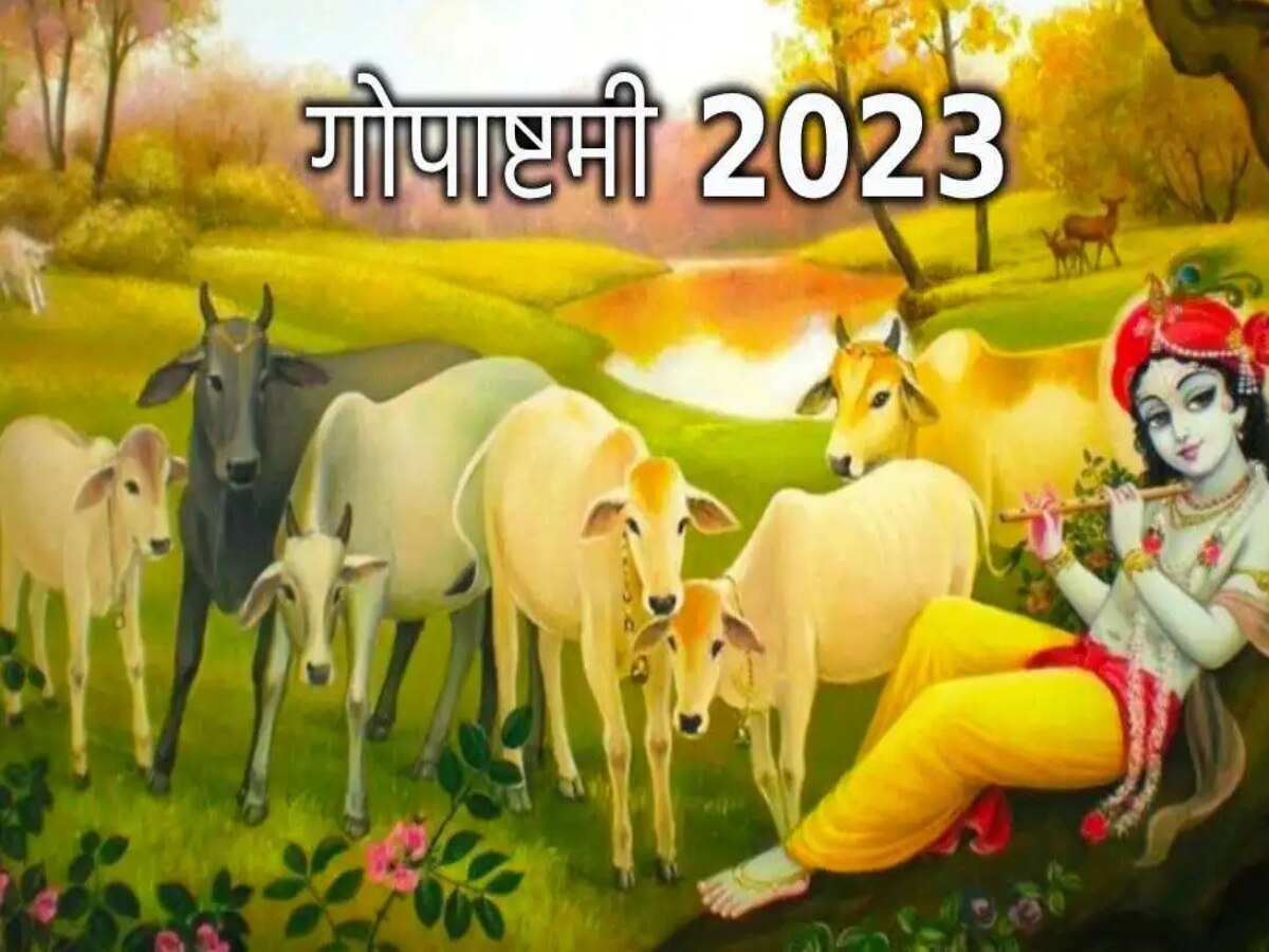 Gopashtami 2023: गोपाष्टमी पर क्यों की जाती है गाय और बछड़े की पूजा? जानिए इसके मुहूर्त, महत्व और तारीख