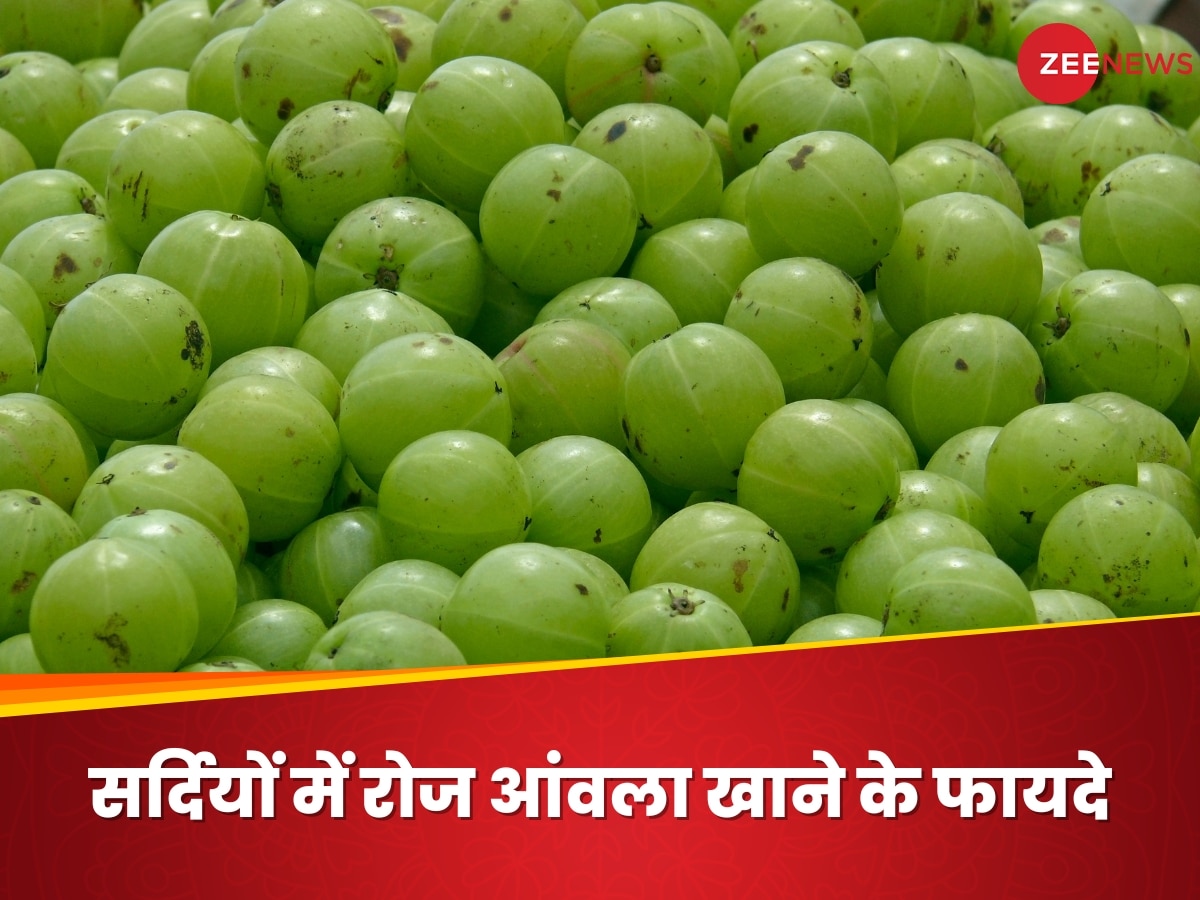 Amla Health benefits: इम्यूनिटी बूस्टर से लेकर हेल्दी स्किन तक, जानिए सर्दियों में रोज आंवला खाने के 6 अमेजिंग फायदे