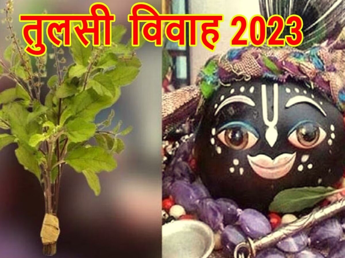 Tulsi Vivah 2023: तुलसी विवाह के दिन बन रहे अमृत सिद्धि योग के साथ ये 3 अद्भुत संयोग, मिलेगा अनंत फल