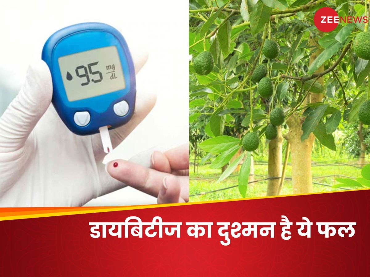 Diabetes: High Blood Sugar पर लगाम लगाएगा ये हरा फल, हड्डियां भी होंगी मजबूत