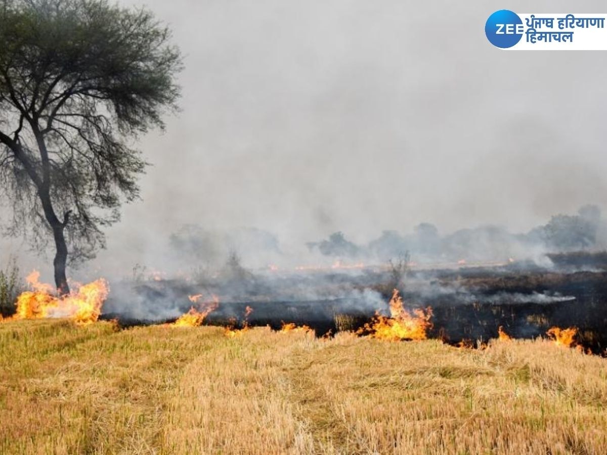 Stubble Burning News: ਪੰਜਾਬ 'ਚ ਇੱਕ ਦਿਨ 'ਚ ਪਰਾਲੀ ਸਾੜਨ ਦੇ 2544 ਮਾਮਲੇ, ਬਠਿੰਡਾ 'ਚ ਸਭ ਤੋਂ ਵੱਧ ਮਾਮਲੇ 