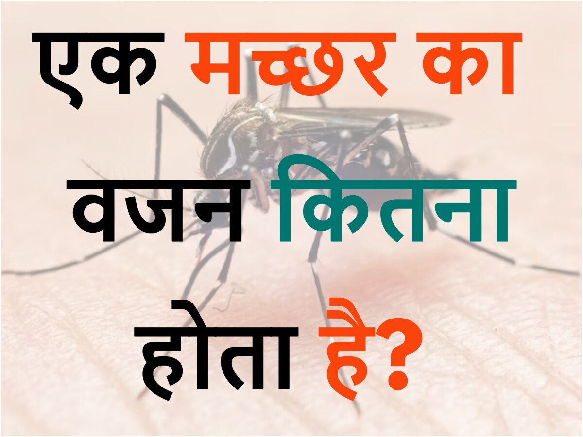 GK Quiz How much does a mosquito weight Quiz एक मच्छर में कितना वजन