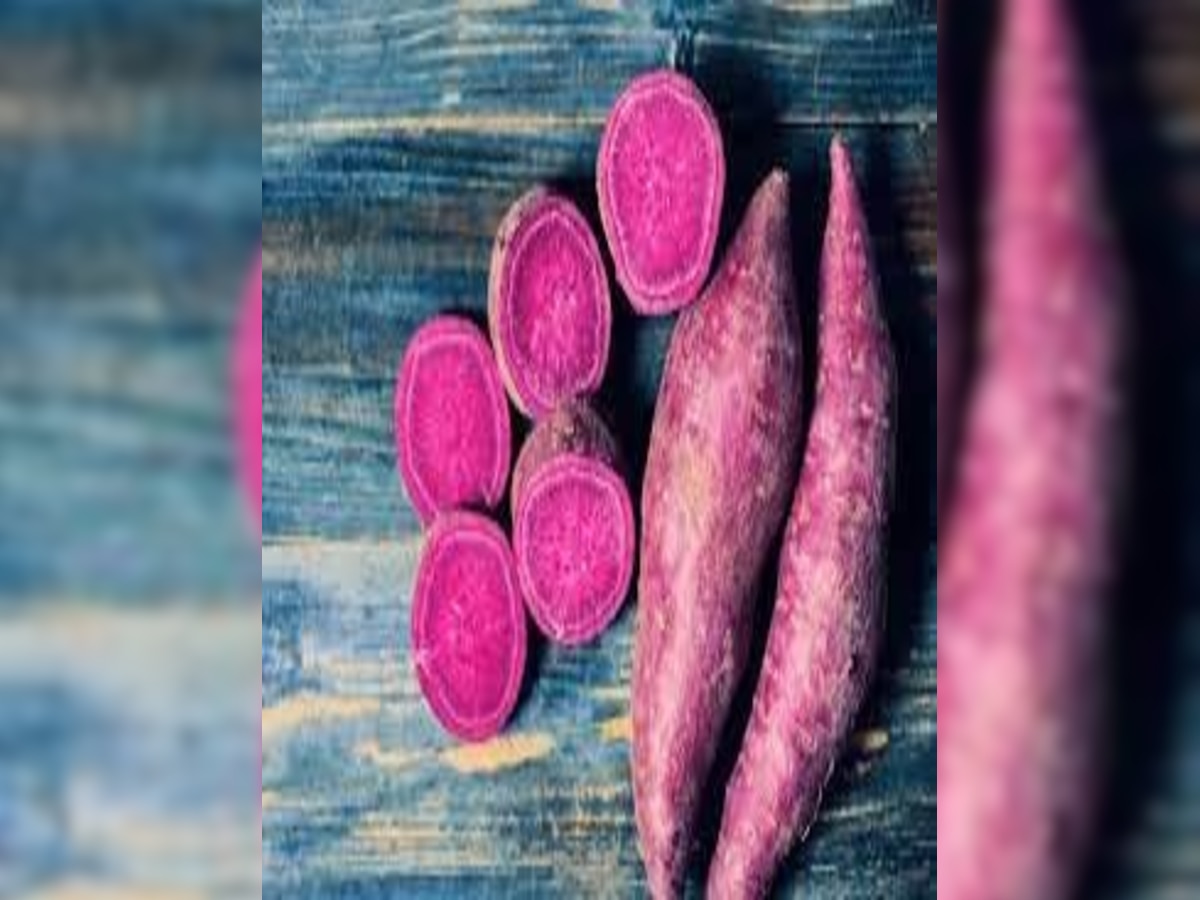 Sweet potato health beenfits sweet potato for cancer and stomach