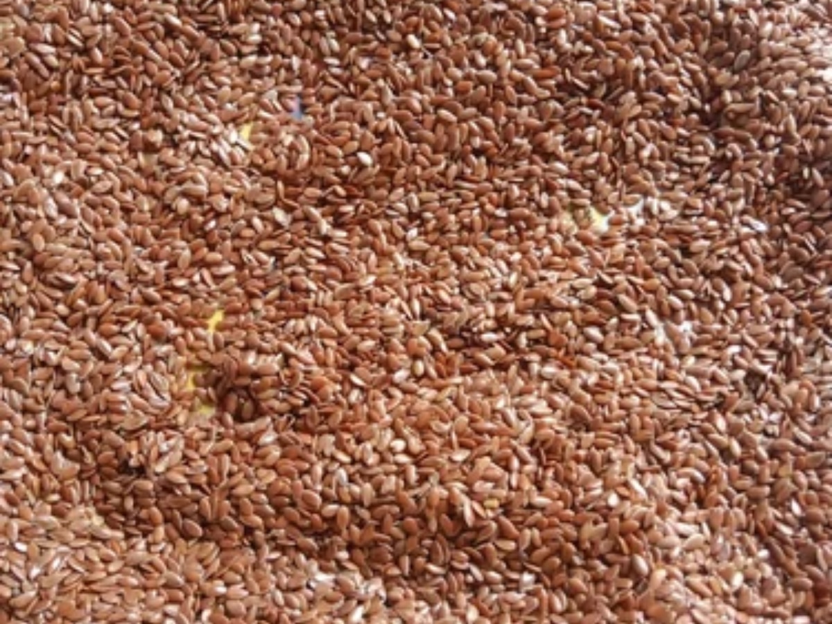 अलसी के बीज हैं औषधीय गुणों से भरपूर, जानें इसके 5 गजब के फायदे