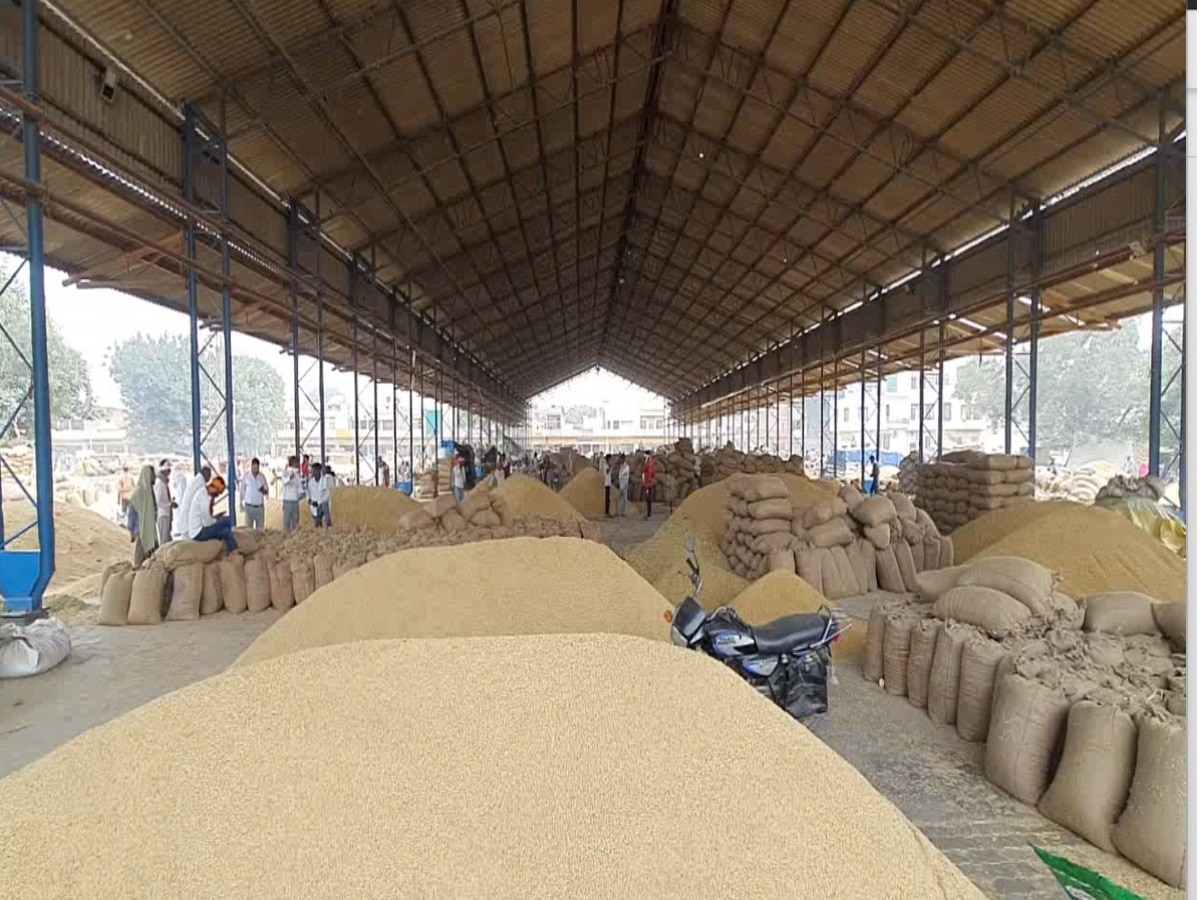 Kaithal News: कैथल में किसानों ने हैफेड डीएम से की जल्द बारीक धान की खरीद शुरू करने की मांग