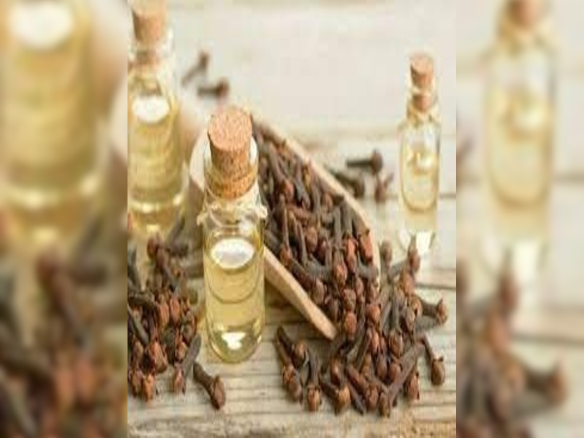 Cloves In Your Kitchen Are Very Useful For Toothache And Other Dental Problems Know How To Use 4071