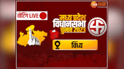 MP Election Result Date: विंध्य की सभी 30 सीटों पर खत्म हुई वोटिंग, जानें हर जिलें के आंकड़े