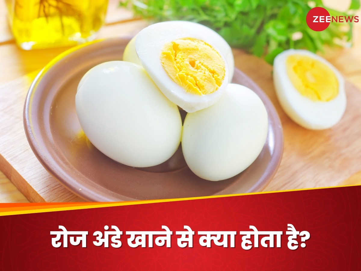 Eggs: क्या सर्दियों में हर दिन अंडे खाना सेफ है? जानिए क्या कहते हैं एक्सपर्ट