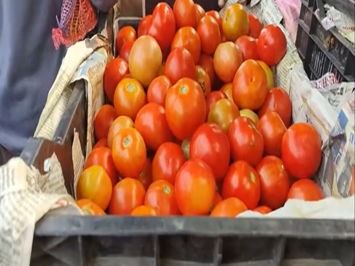  Tomato Price Hike: एक बार फिर टमाटर हुआ लाल, बढ़ती किमतों ने बिछाया महंगाई का जाल