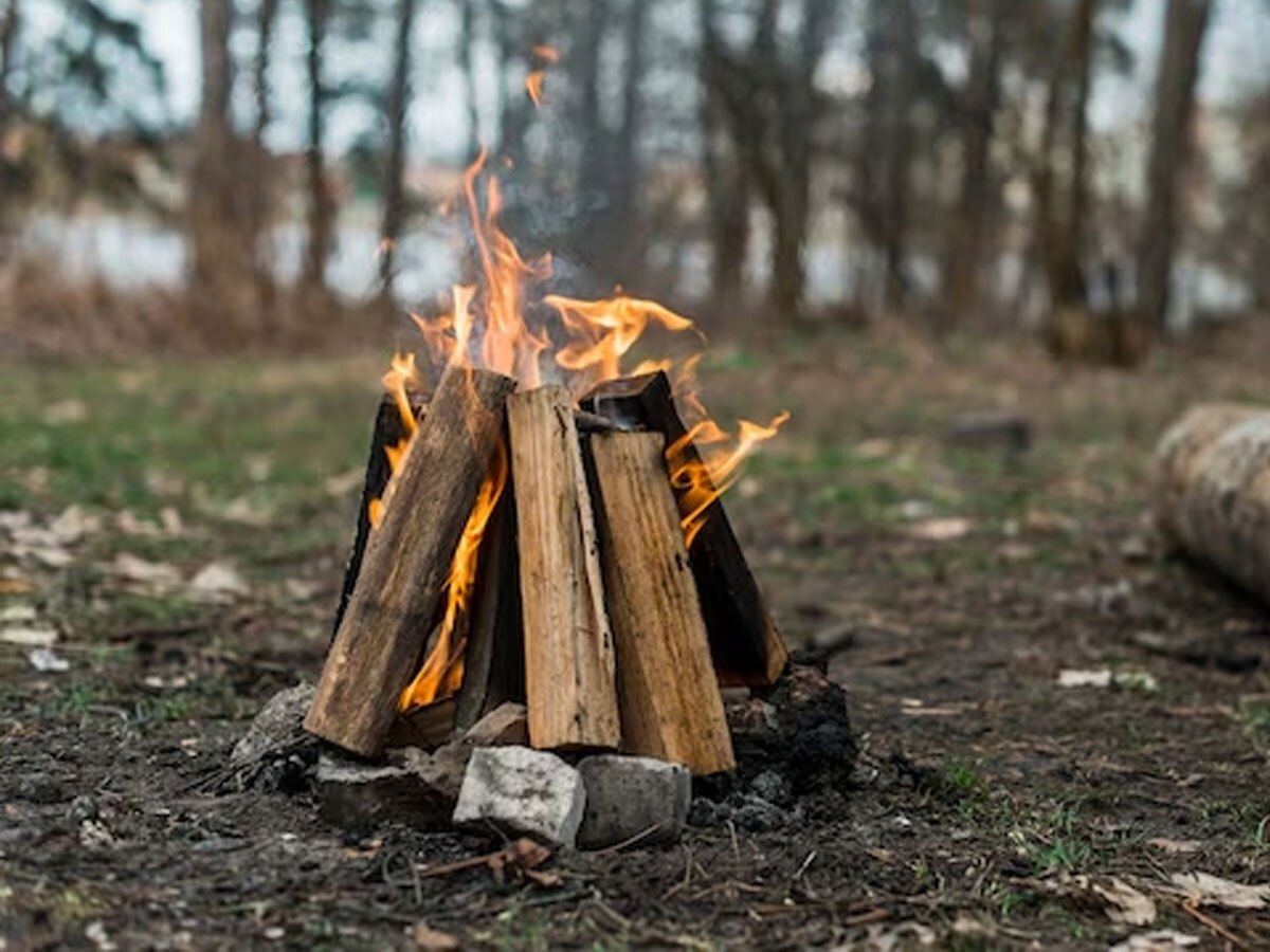 Wood Price: बड़ा फैसला! सरकार ने सर्दियों में लोगों को दी बड़ी राहत, जलाऊ लकड़ी की कीमत में होगी कमी