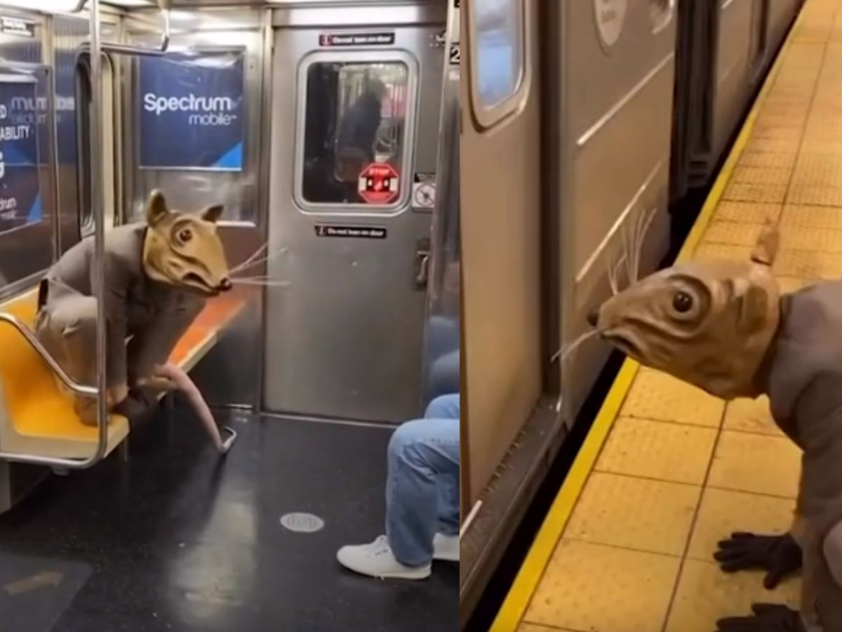 Metro Rats Viral Video person disguised as a rat in New York Metro | Viral Video ...