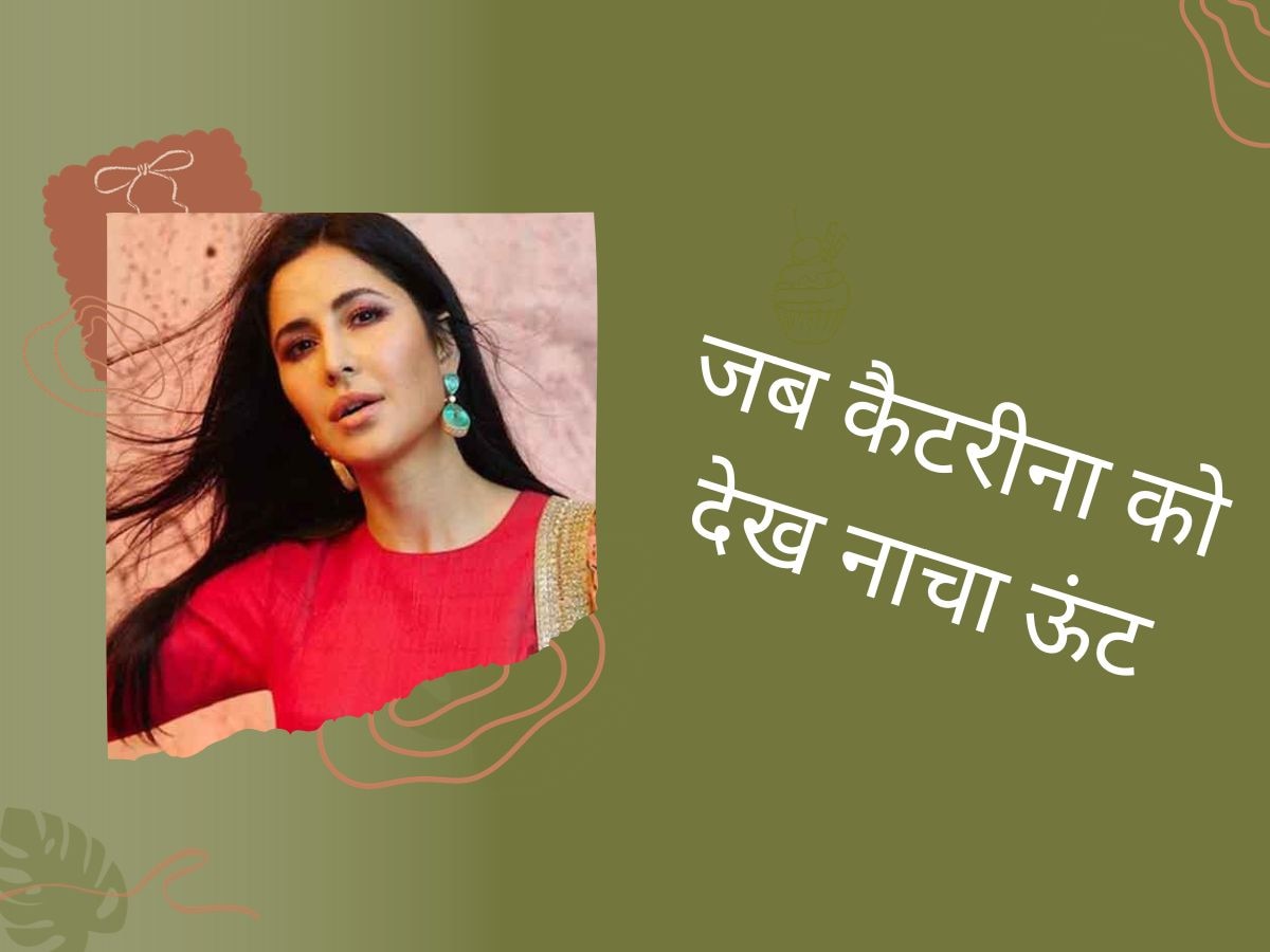 Katrina Kaif को नाचता देख ऊंट भी करने लगा डांस, वीडियो देख नहीं रोक पाएंगे हंसी