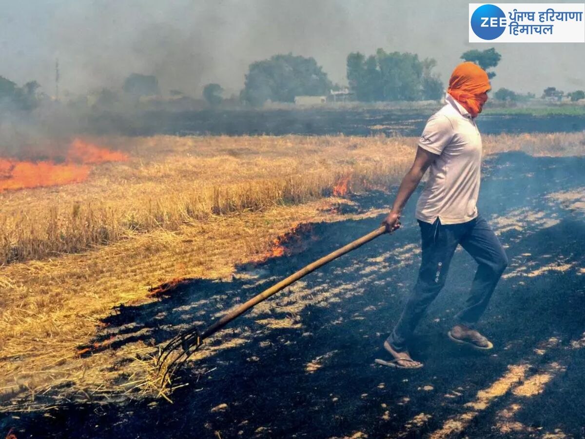 Stubble Burning News: ਪੰਜਾਬ 'ਚ ਨਹੀਂ ਰੁਕ ਰਿਹਾ ਪਰਾਲੀ ਸਾੜਨ ਦਾ ਸਿਲਸਿਲਾ; ਫ਼ਰੀਦਕੋਟ 'ਚ 15 ਹੋਰ ਕੇਸ ਦਰਜ