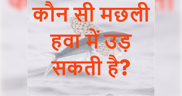 gk-quiz-trending-which-fish-can-fly-in-the-air-quiz